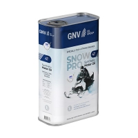 GNV Snow Pro 4T, 1л GSP4T121116201654040001